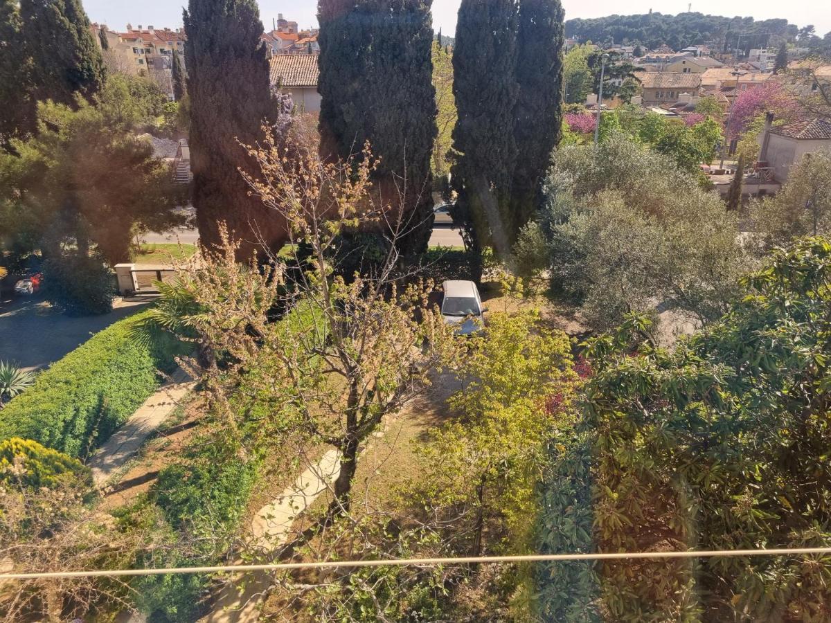 Greenview Apartment With Parking Rovinj Dış mekan fotoğraf