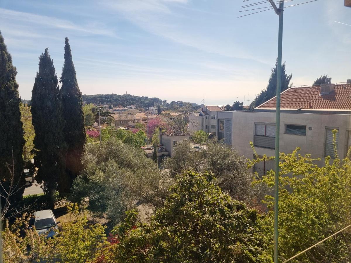 Greenview Apartment With Parking Rovinj Dış mekan fotoğraf
